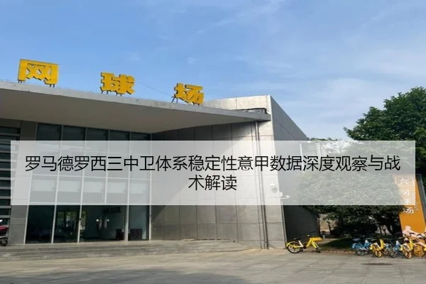 罗马德罗西三中卫体系稳定性意甲数据深度观察与战术解读