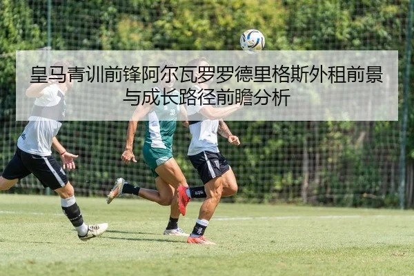 皇马青训前锋阿尔瓦罗罗德里格斯外租前景与成长路径前瞻分析