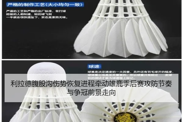 利拉德腹股沟伤势恢复进程牵动雄鹿季后赛攻防节奏与争冠前景走向